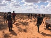 Gobolka Shabeellaha Hoose oo lagu dilay Horjooge Shabaab ka tirsan iyo 12 Xubnood oo kale