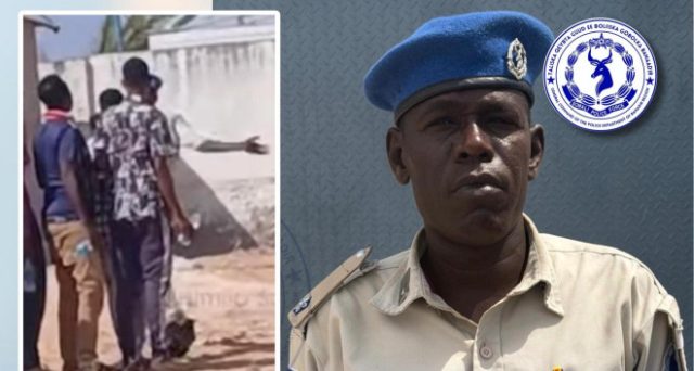 1766663661605114026_845875364972047_5180482956572869730_n