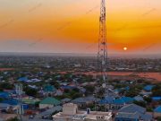 10 Ruux oo 24 Saac Gudahood lagu dilay Magaalada Balad-xaawo