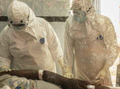 Faransiiska Oo Diiwaangeliyay Kiiskii Ugu Horreeyay ee Ebola, Qaabka loo helay